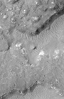 moc2_margaritifer_i2.gif
