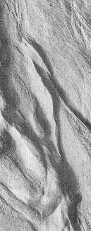 2802_2_icon.gif
