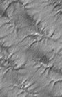moc2_msss_mpljpl_i2.gif