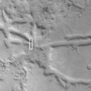 moc2_msss_1_1_00_cntx_i1.gif