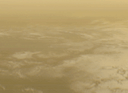 image1.gif