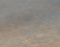 239_wa_icon.gif