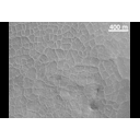 moc2_150_msss_i2.gif