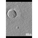 moc2_159_msss_i2.gif
