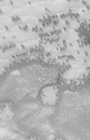 moc2_166_msss_i2.gif