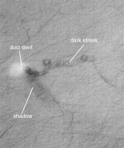 moc2_msss_m1001267_i1.gif