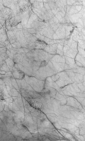 moc2_msss_m1003516_i1.gif