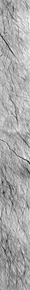 moc2_msss_m122349_i1.gif