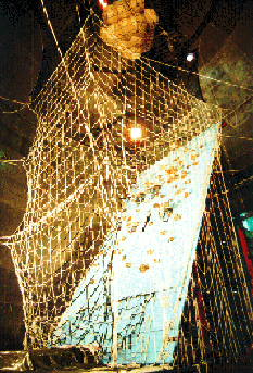 The Catch Nets