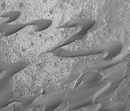 nili_dunes_i.gif