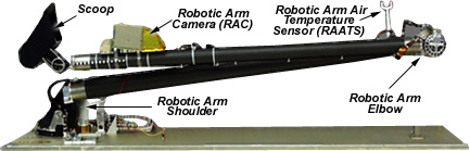 arm.jpg