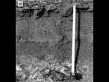trench.gif