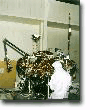 mpl09_t.gif